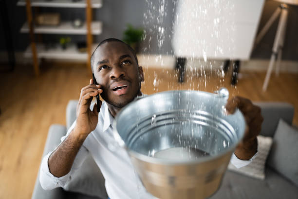 Water damage restoration mold remediation in AR