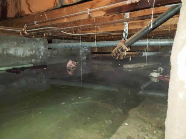 Best Fire Damage Restoration  in Highfill, AR