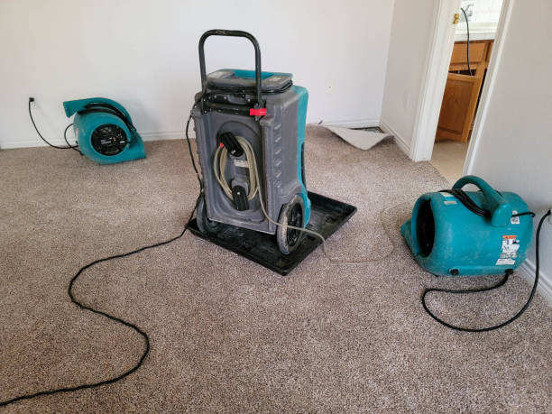 Best Residential water damage restoration  in Highfill, AR