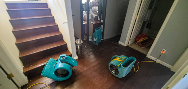 Best Water damage restoration near me  in Highfill, AR