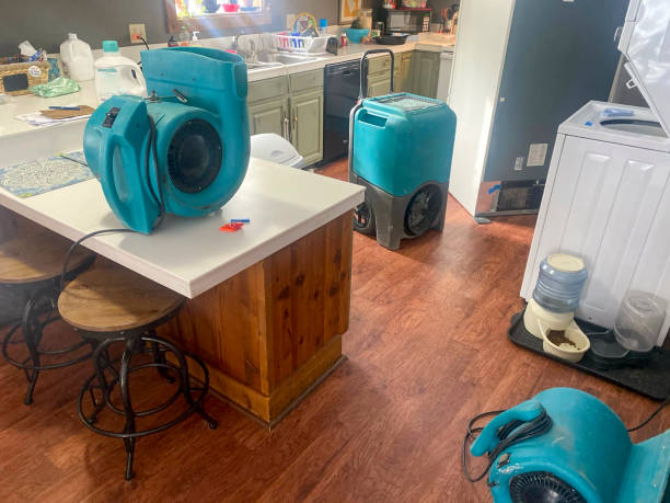  Highfill, AR Water damage restoration Pros