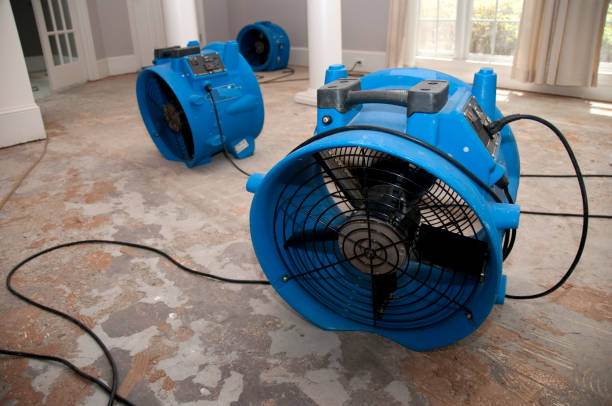 Best Flood damage cleanup  in Highfill, AR