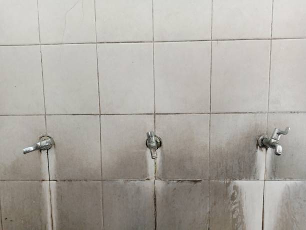 Best Ceiling water damage repair  in Highfill, AR