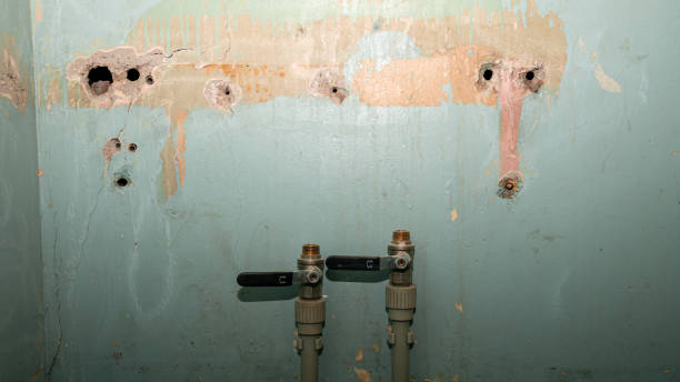 Best Carpet water damage restoration  in Highfill, AR