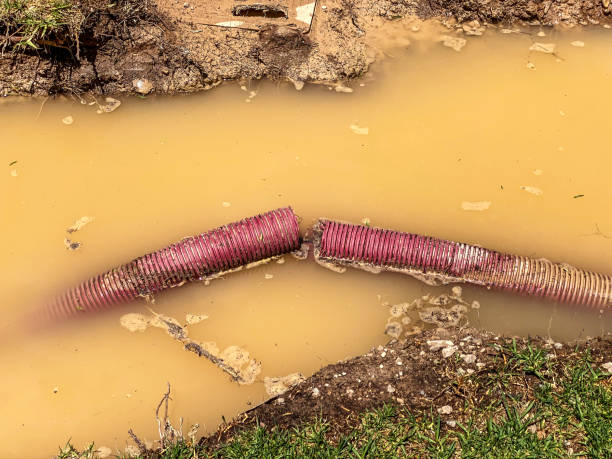 Trusted AR Water damage restoration Experts