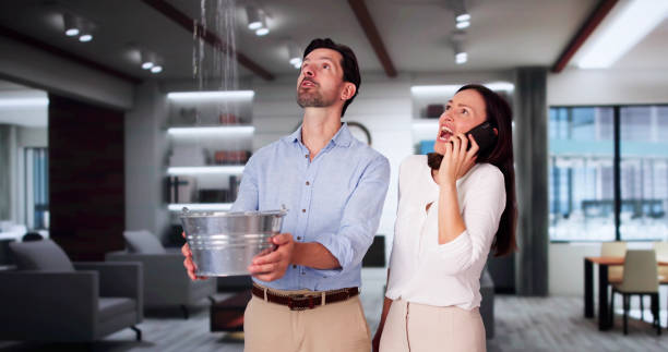 Best Local water damage restoration  in Highfill, AR